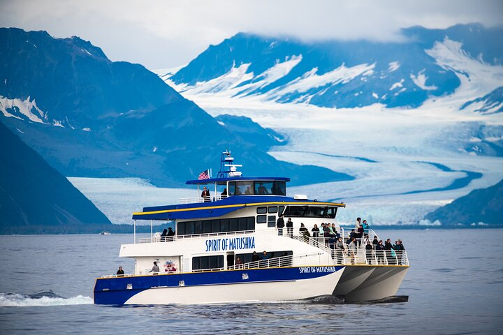Resurrection Bay Spring Wildlife Cruise - Photo 1 of 12